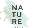 logo-4